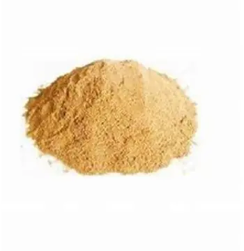 Fresh Capsicum Powder